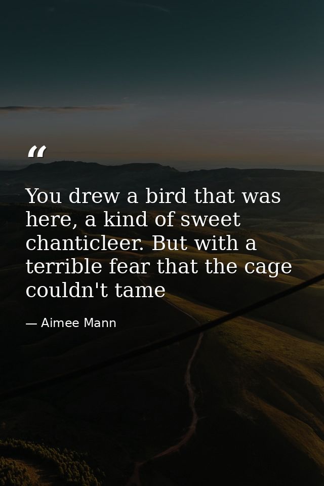 You drew a bird that was here, a kind of sweet chanticleer. But with a terrible fear that the cage couldn't tame — Aimee Mann