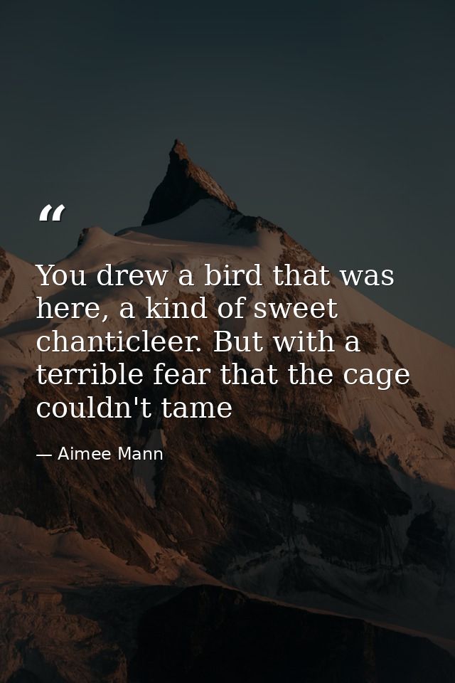 You drew a bird that was here, a kind of sweet chanticleer. But with a terrible fear that the cage couldn't tame — Aimee Mann