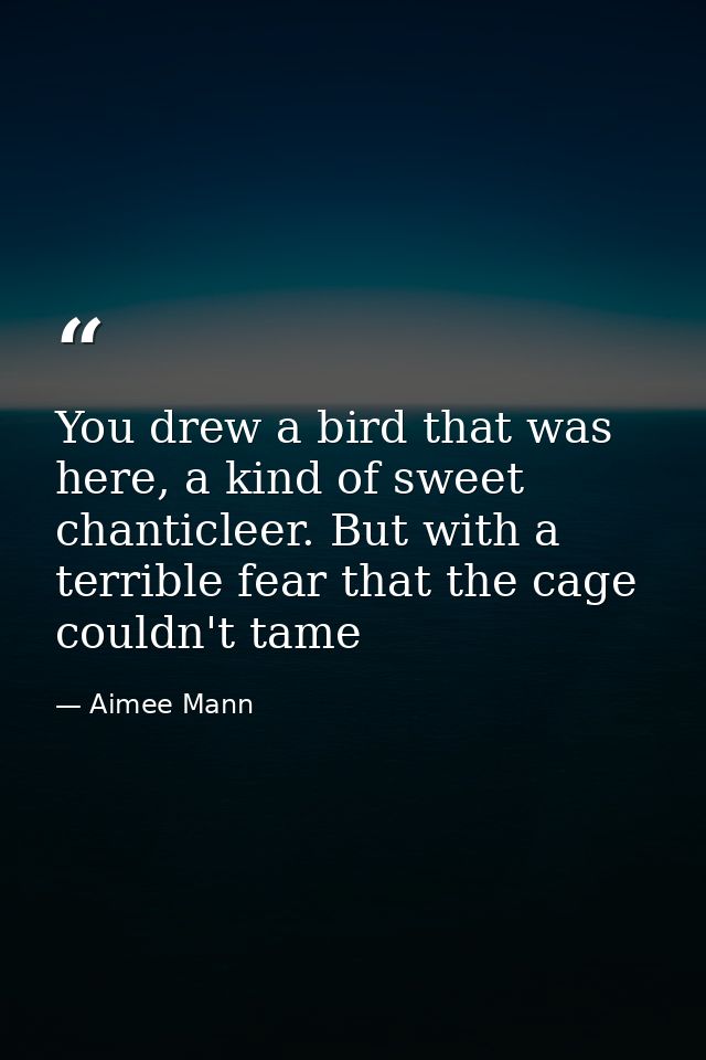You drew a bird that was here, a kind of sweet chanticleer. But with a terrible fear that the cage couldn't tame — Aimee Mann