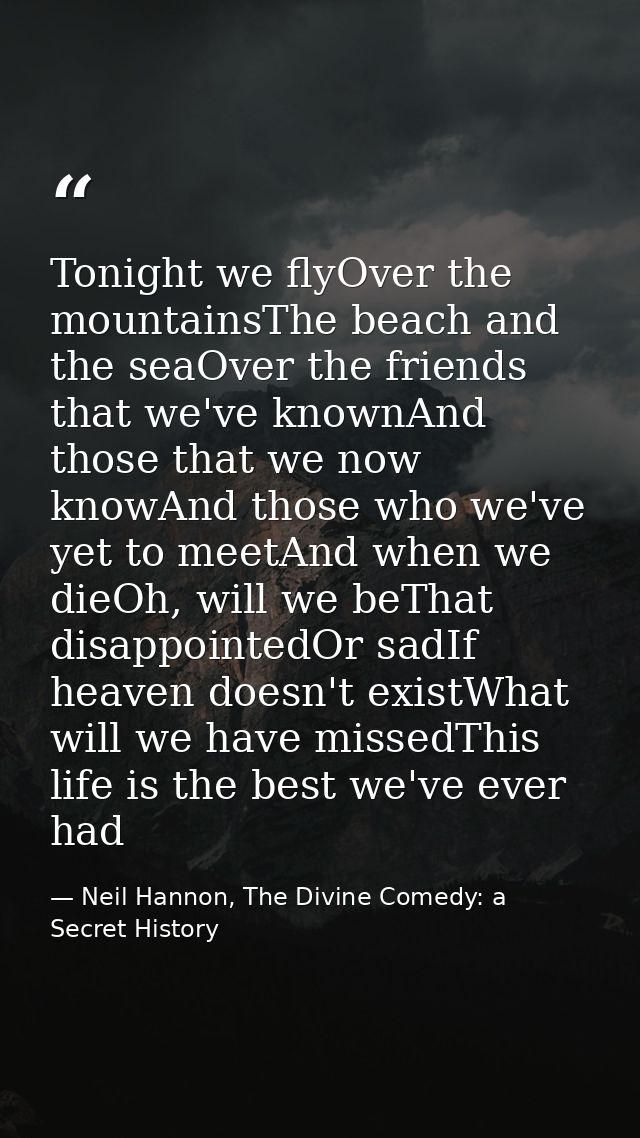 Tonight we flyOver the mountainsThe beach and the seaOver the friends that we've knownAnd those that we now knowAnd thos — Neil Hannon, The Divine Comedy: a Secret History