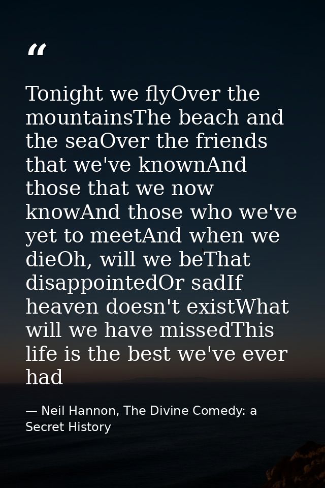 Tonight we flyOver the mountainsThe beach and the seaOver the friends that we've knownAnd those that we now knowAnd thos — Neil Hannon, The Divine Comedy: a Secret History