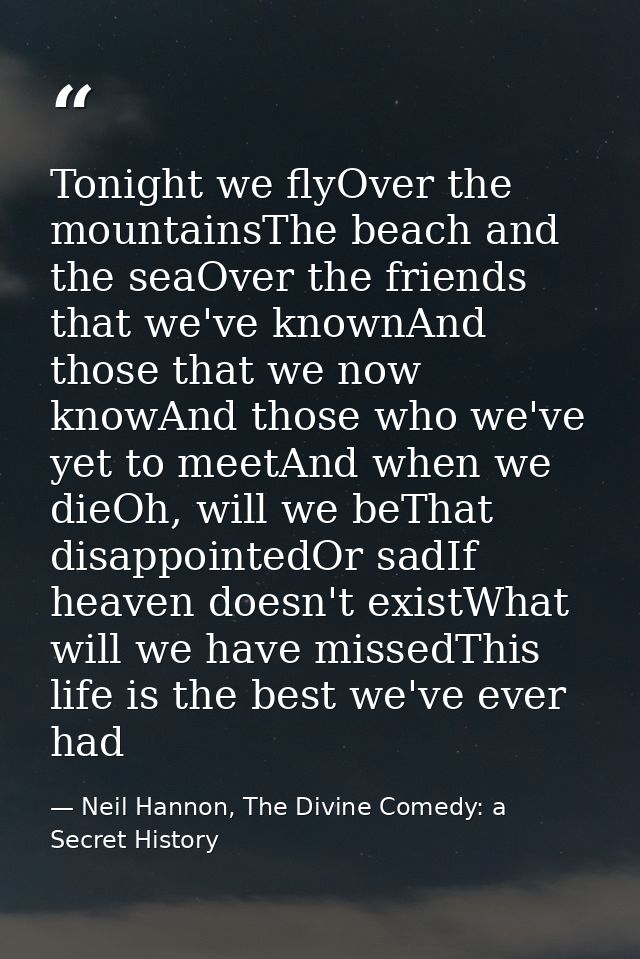 Tonight we flyOver the mountainsThe beach and the seaOver the friends that we've knownAnd those that we now knowAnd thos — Neil Hannon, The Divine Comedy: a Secret History
