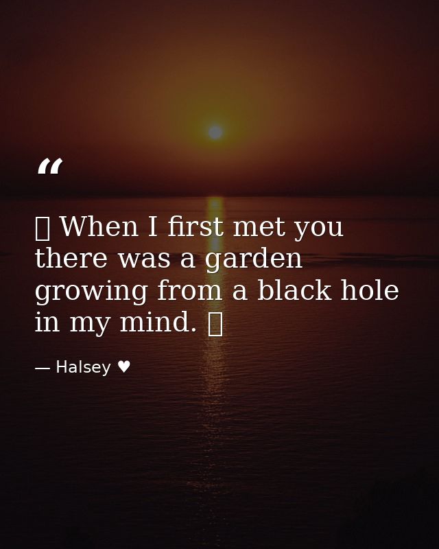 ✵ When I first met you there was a garden growing from a black hole in my mind. ✵ — Halsey ♥