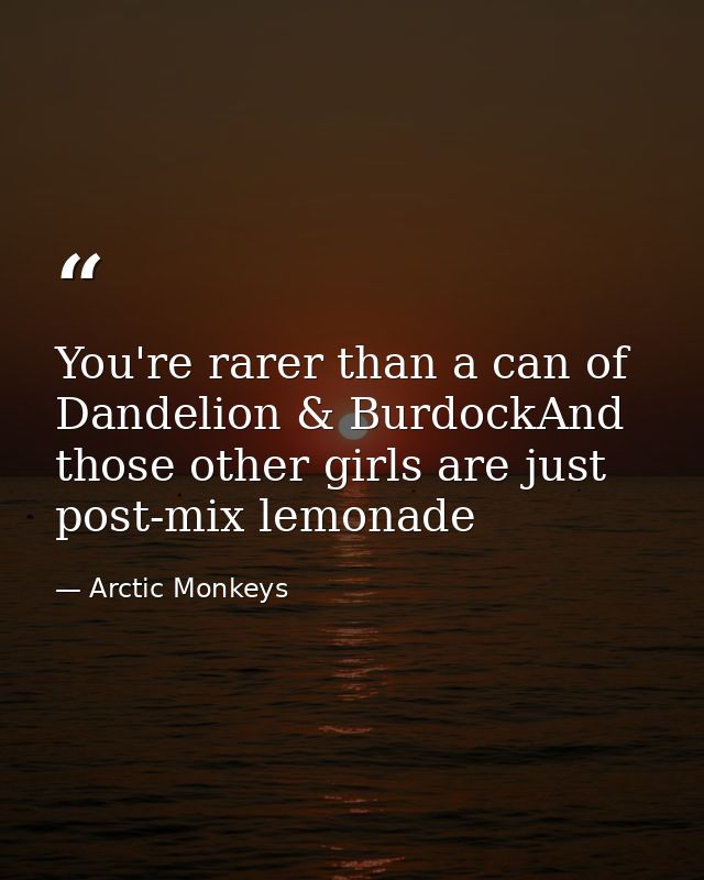 You're rarer than a can of Dandelion & BurdockAnd those other girls are just post-mix lemonade — Arctic Monkeys