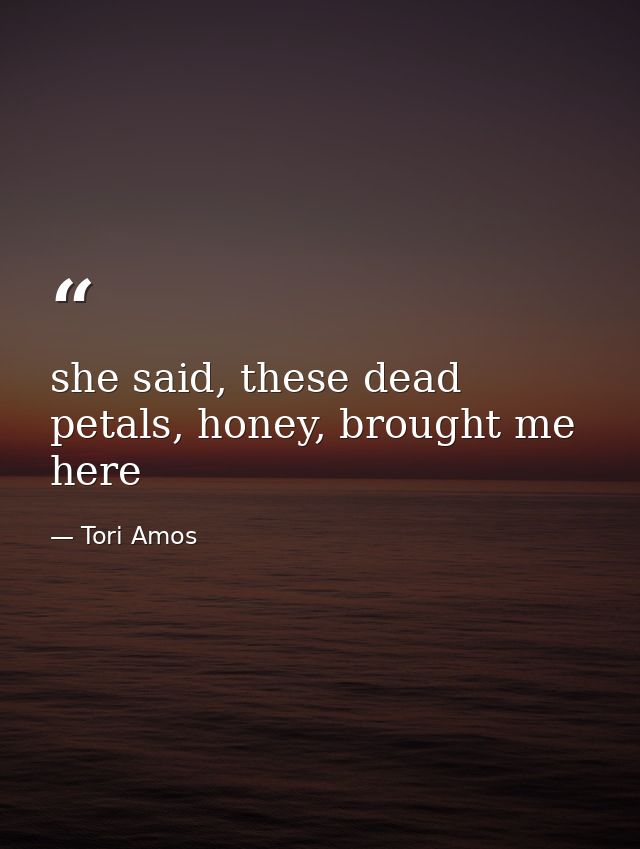 she said, these dead petals, honey, brought me here — Tori Amos