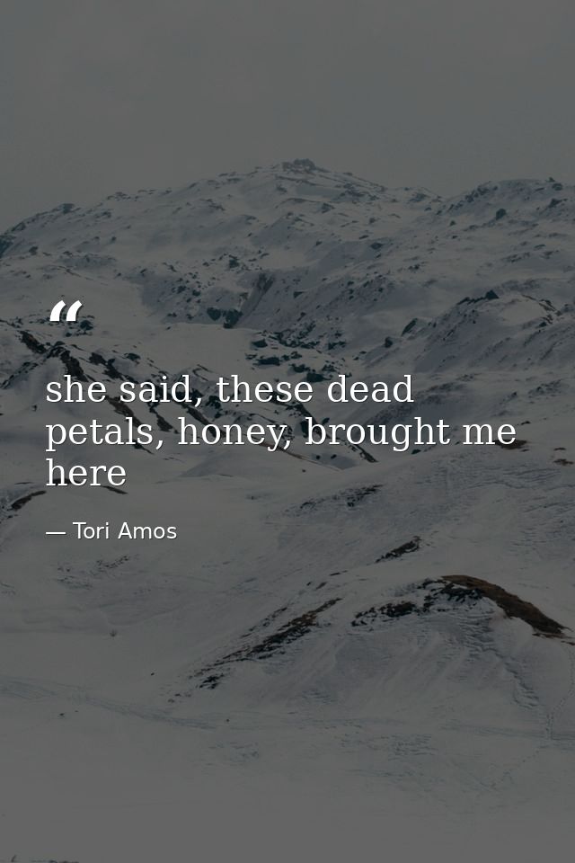 she said, these dead petals, honey, brought me here — Tori Amos