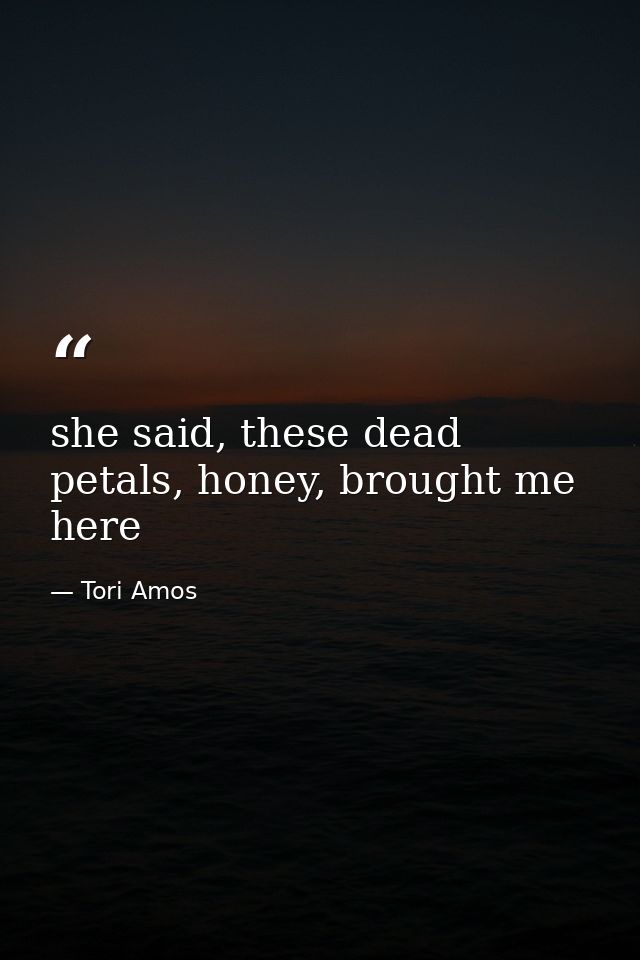 she said, these dead petals, honey, brought me here — Tori Amos