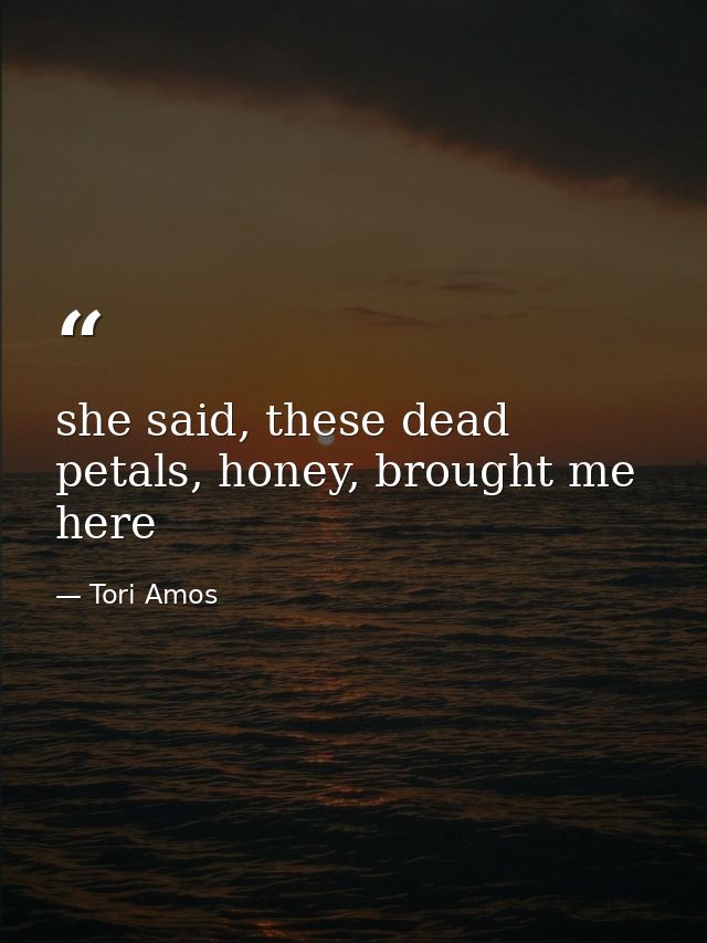 she said, these dead petals, honey, brought me here — Tori Amos