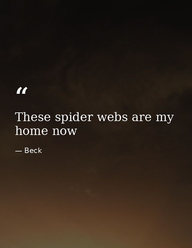 These spider webs are my home now — Beck