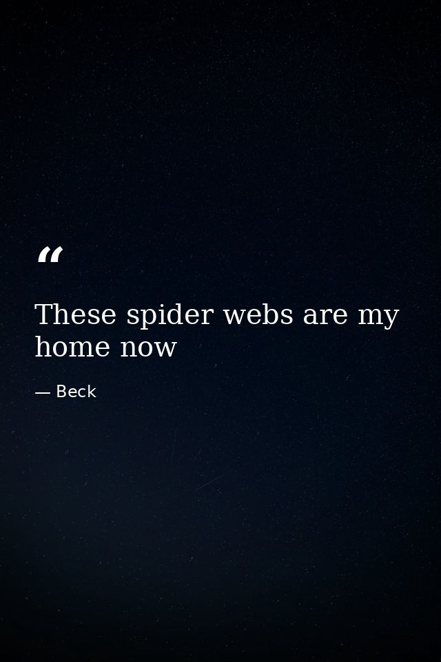 These spider webs are my home now — Beck