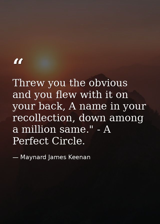 Threw you the obvious and you flew with it on your back, A name in your recollection, down among a million same." - A Pe — Maynard James Keenan