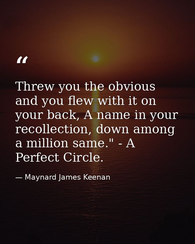 Threw you the obvious and you flew with it on your back, A name in your recollection, down among a million same." - A Pe — Maynard James Keenan