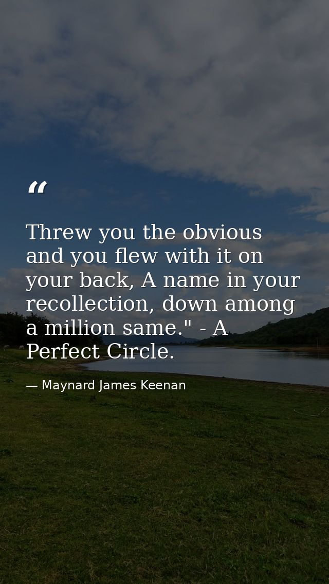 Threw you the obvious and you flew with it on your back, A name in your recollection, down among a million same." - A Pe — Maynard James Keenan