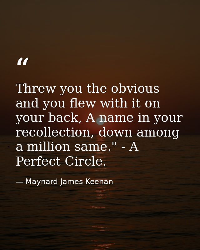 Threw you the obvious and you flew with it on your back, A name in your recollection, down among a million same." - A Pe — Maynard James Keenan