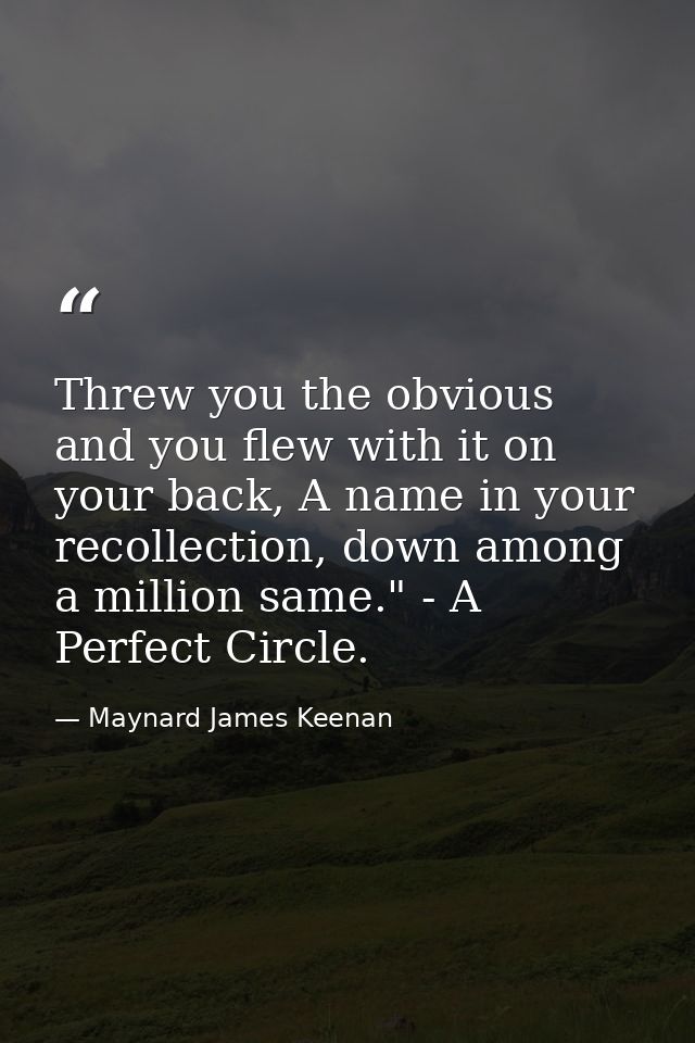 Threw you the obvious and you flew with it on your back, A name in your recollection, down among a million same." - A Pe — Maynard James Keenan