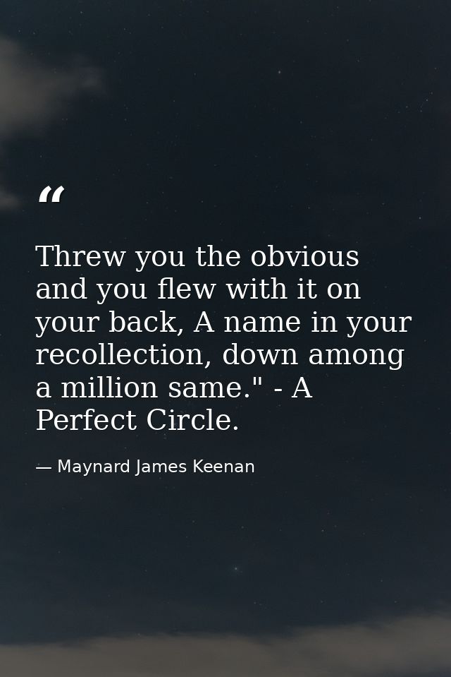 Threw you the obvious and you flew with it on your back, A name in your recollection, down among a million same." - A Pe — Maynard James Keenan