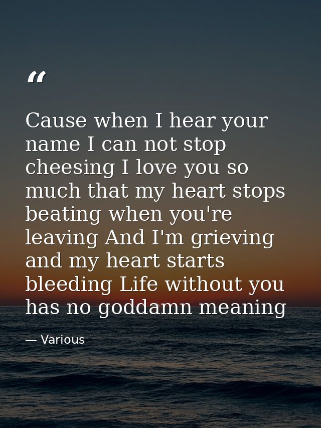 Cause when I hear your name I can not stop cheesing I love you so much that my heart stops beating when you're leaving A — Various