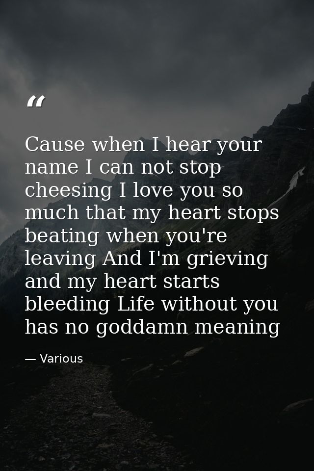Cause when I hear your name I can not stop cheesing I love you so much that my heart stops beating when you're leaving A — Various