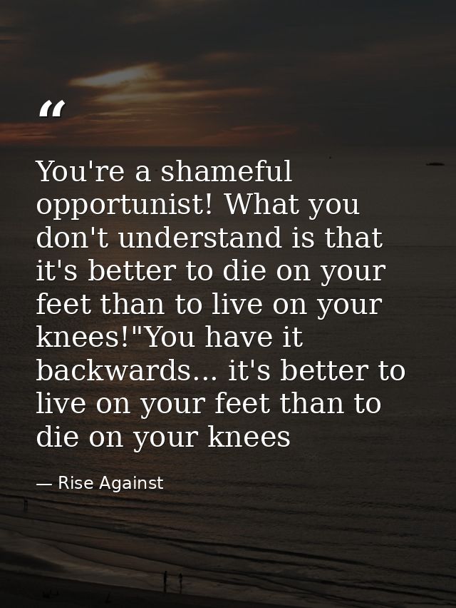 You're a shameful opportunist! What you don't understand is that it's better to die on your feet than to live on your kn — Rise Against