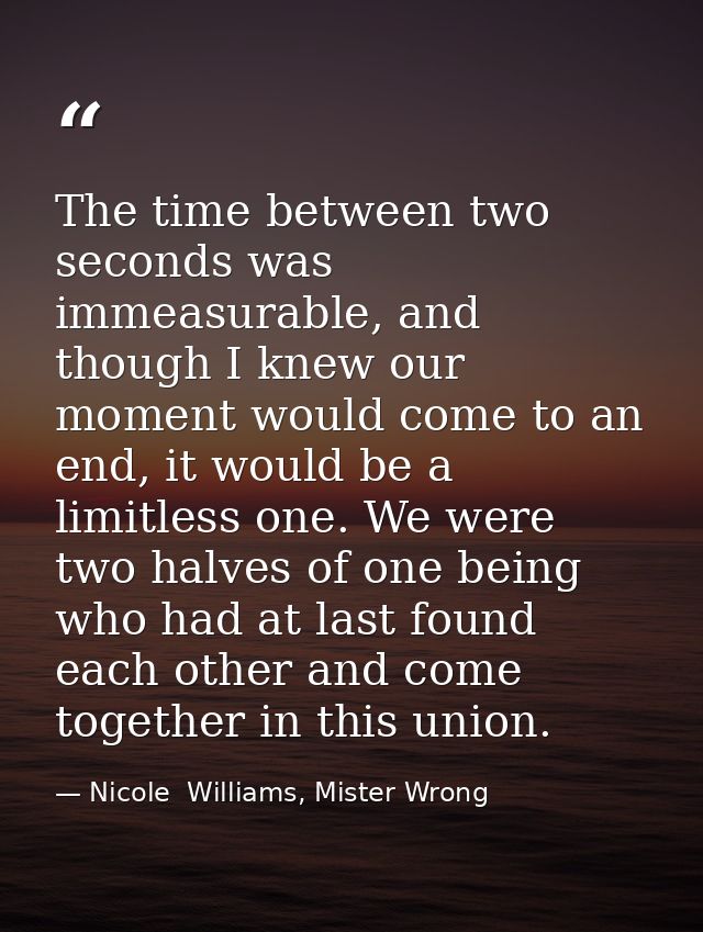 The time between two seconds was immeasurable, and though I knew our moment would come to an end, it would be a limitles — Nicole  Williams, Mister Wrong
