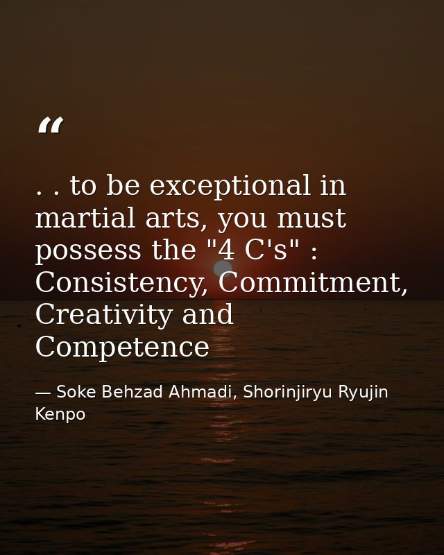 . . to be exceptional in martial arts, you must possess the "4 C's" : Consistency, Commitment, Creativity and Competence — Soke Behzad Ahmadi, Shorinjiryu Ryujin Kenpo