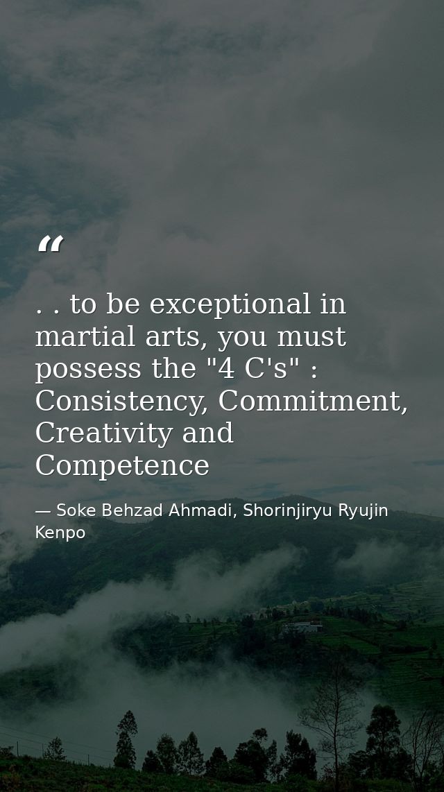 . . to be exceptional in martial arts, you must possess the "4 C's" : Consistency, Commitment, Creativity and Competence — Soke Behzad Ahmadi, Shorinjiryu Ryujin Kenpo
