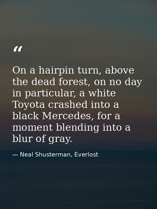 On a hairpin turn, above the dead forest, on no day in particular, a white Toyota crashed into a black Mercedes, for a m — Neal Shusterman, Everlost