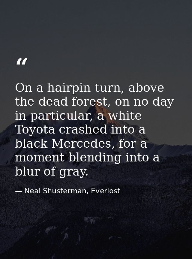 On a hairpin turn, above the dead forest, on no day in particular, a white Toyota crashed into a black Mercedes, for a m — Neal Shusterman, Everlost