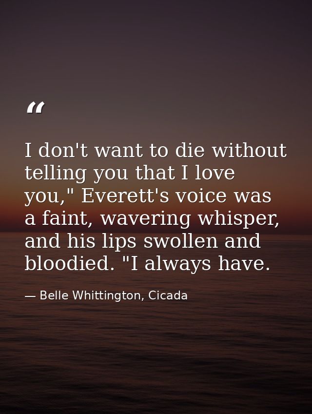 I don't want to die without telling you that I love you," Everett's voice was a faint, wavering whisper, and his lips sw — Belle Whittington, Cicada