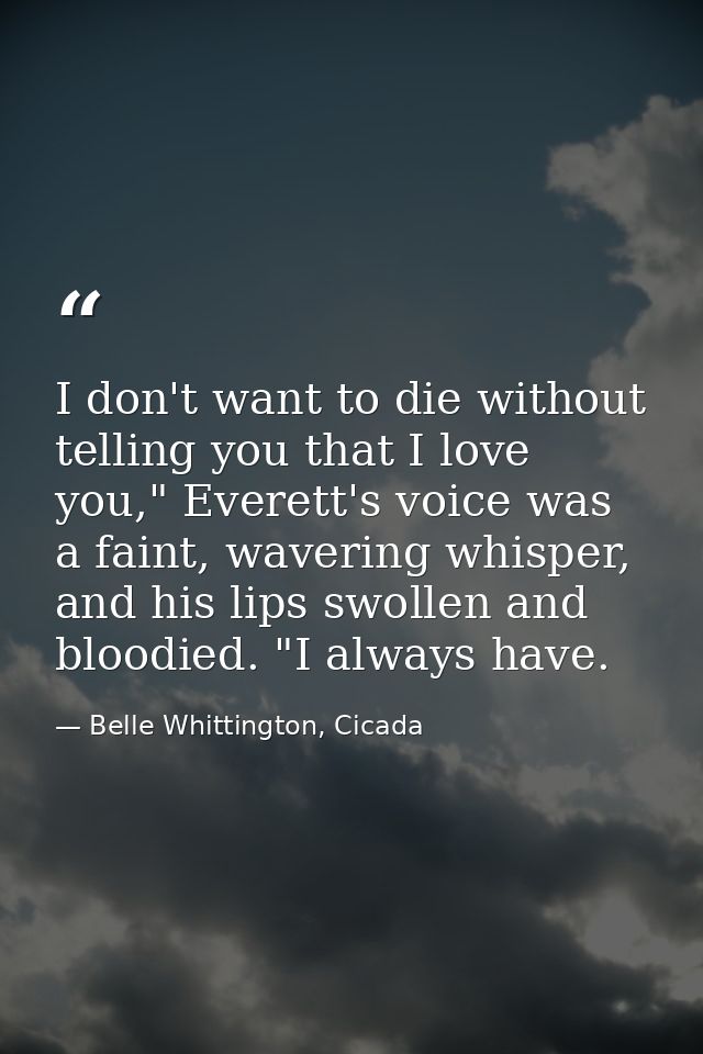 I don't want to die without telling you that I love you," Everett's voice was a faint, wavering whisper, and his lips sw — Belle Whittington, Cicada