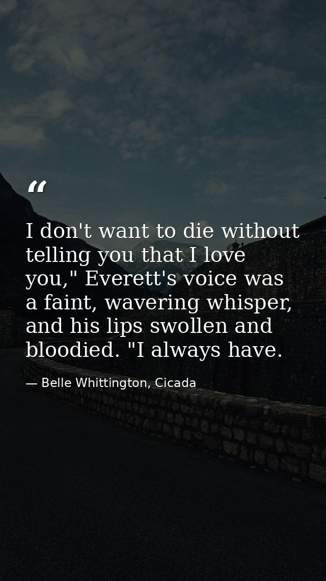I don't want to die without telling you that I love you," Everett's voice was a faint, wavering whisper, and his lips sw — Belle Whittington, Cicada