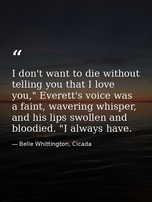 I don't want to die without telling you that I love you," Everett's voice was a faint, wavering whisper, and his lips sw — Belle Whittington, Cicada