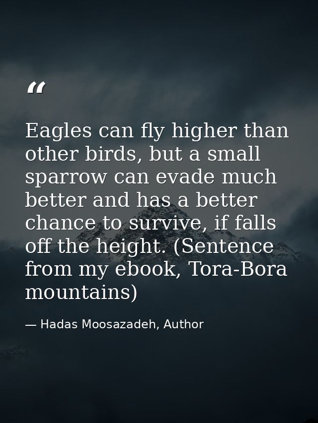 Eagles can fly higher than other birds, but a small sparrow can evade much better and has a better chance to survive, if — Hadas Moosazadeh, Author
