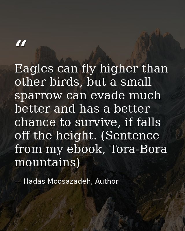 Eagles can fly higher than other birds, but a small sparrow can evade much better and has a better chance to survive, if — Hadas Moosazadeh, Author