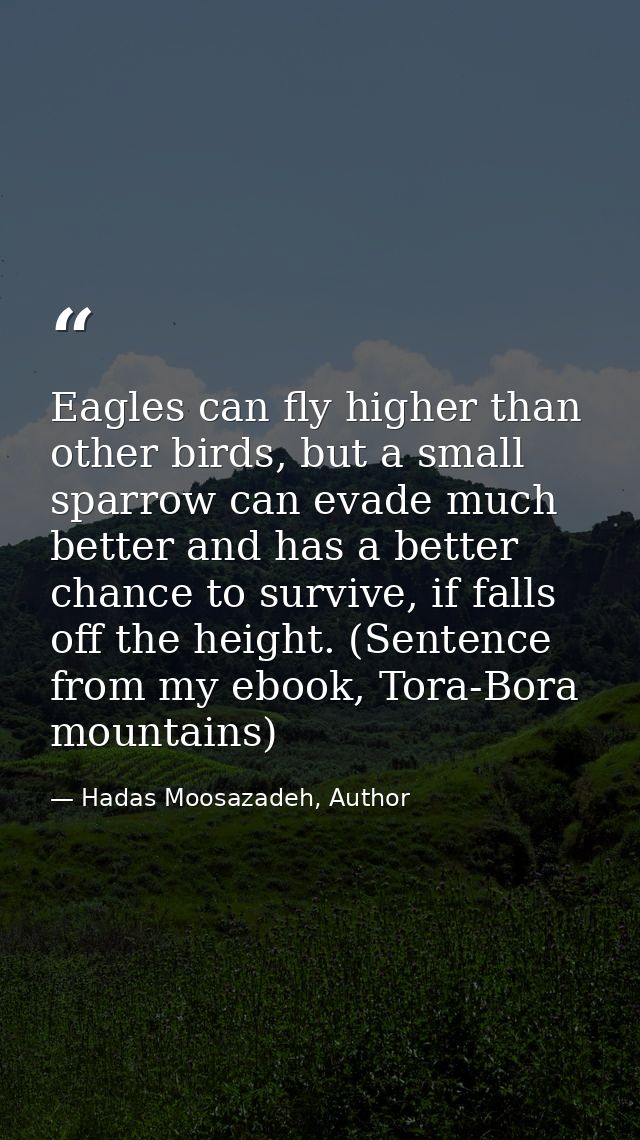 Eagles can fly higher than other birds, but a small sparrow can evade much better and has a better chance to survive, if — Hadas Moosazadeh, Author