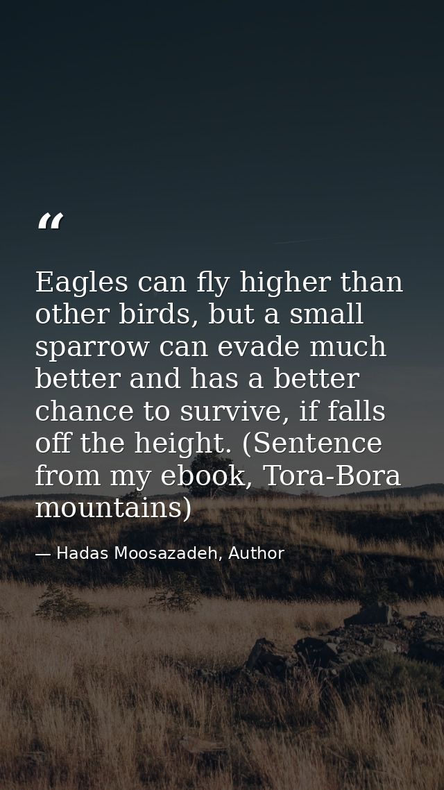 Eagles can fly higher than other birds, but a small sparrow can evade much better and has a better chance to survive, if — Hadas Moosazadeh, Author