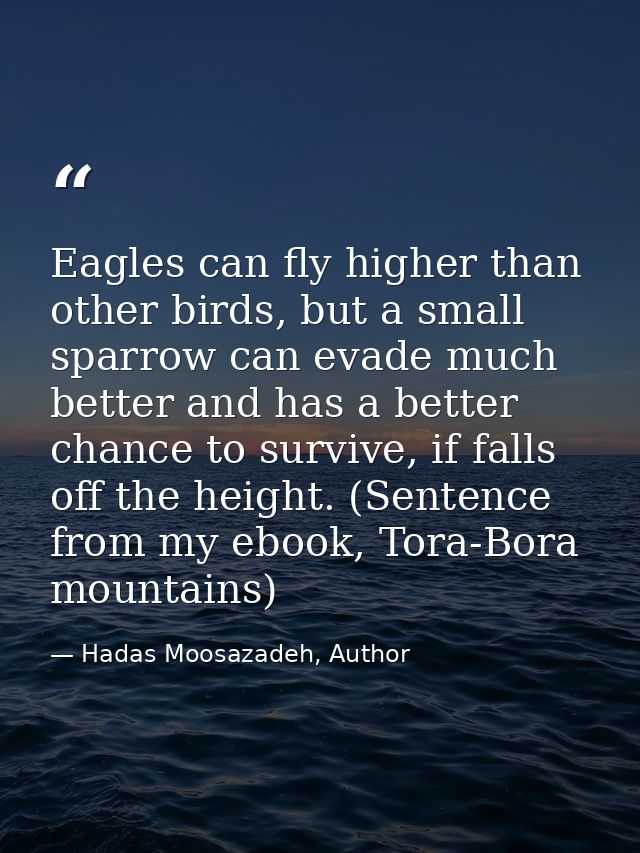 Eagles can fly higher than other birds, but a small sparrow can evade much better and has a better chance to survive, if — Hadas Moosazadeh, Author
