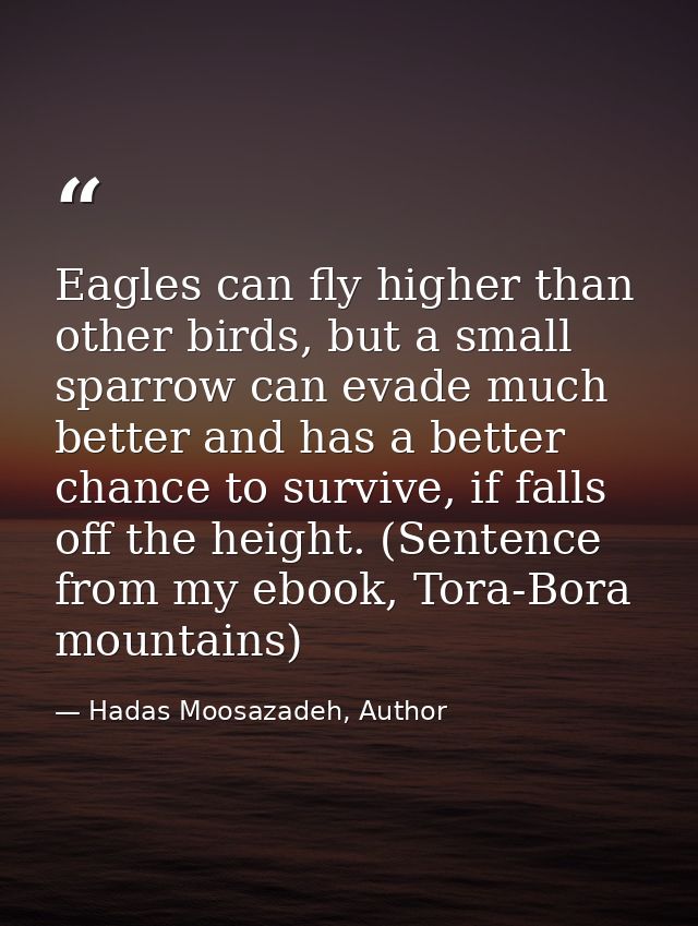 Eagles can fly higher than other birds, but a small sparrow can evade much better and has a better chance to survive, if — Hadas Moosazadeh, Author