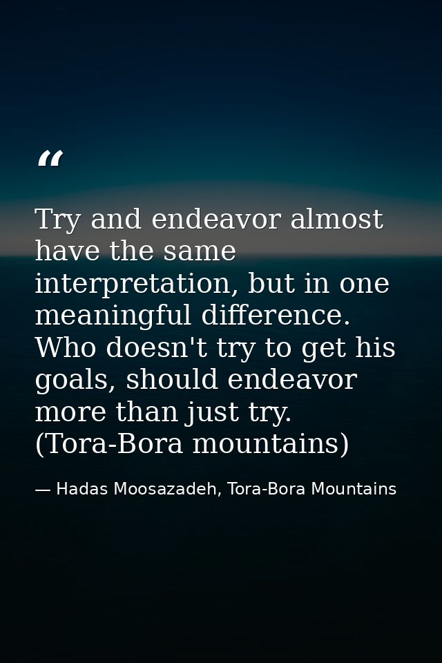 Try and endeavor almost have the same interpretation, but in one meaningful difference. Who doesn't try to get his goals — Hadas Moosazadeh, Tora-Bora Mountains