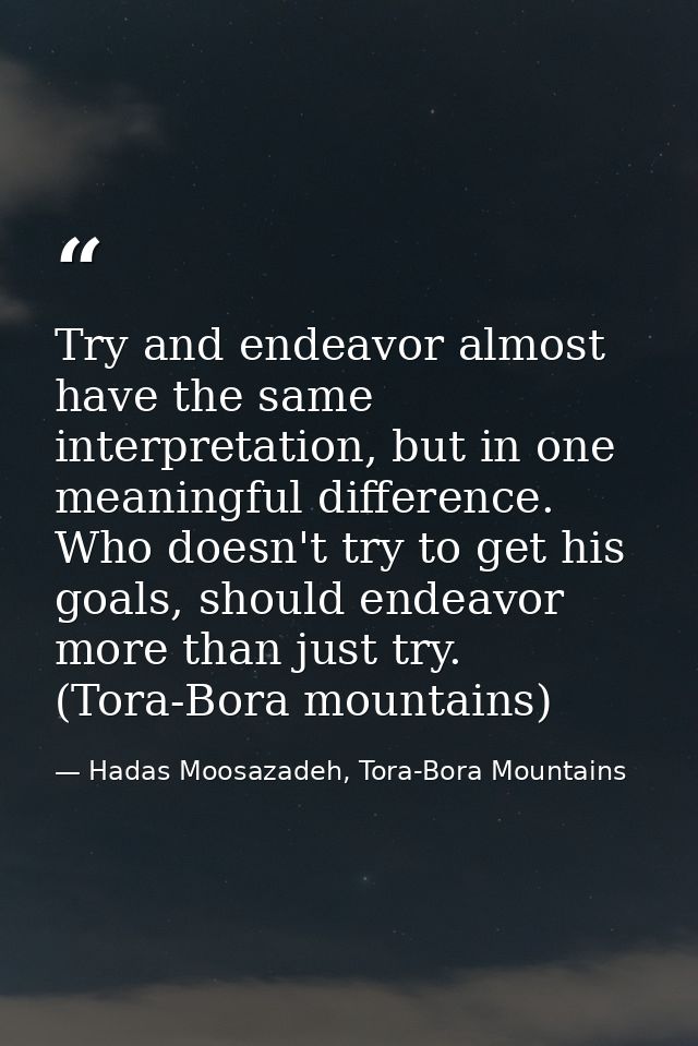 Try and endeavor almost have the same interpretation, but in one meaningful difference. Who doesn't try to get his goals — Hadas Moosazadeh, Tora-Bora Mountains