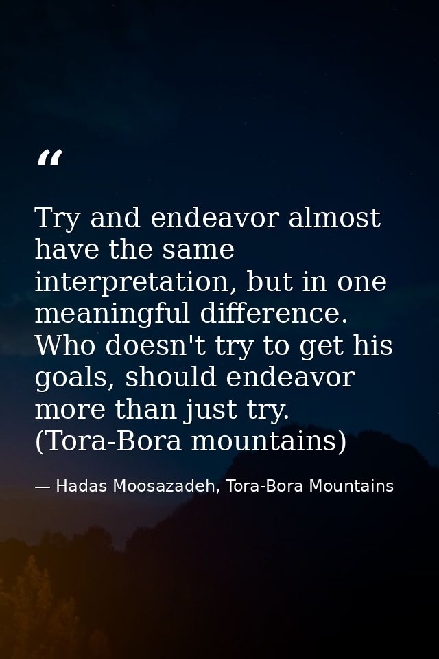 Try and endeavor almost have the same interpretation, but in one meaningful difference. Who doesn't try to get his goals — Hadas Moosazadeh, Tora-Bora Mountains