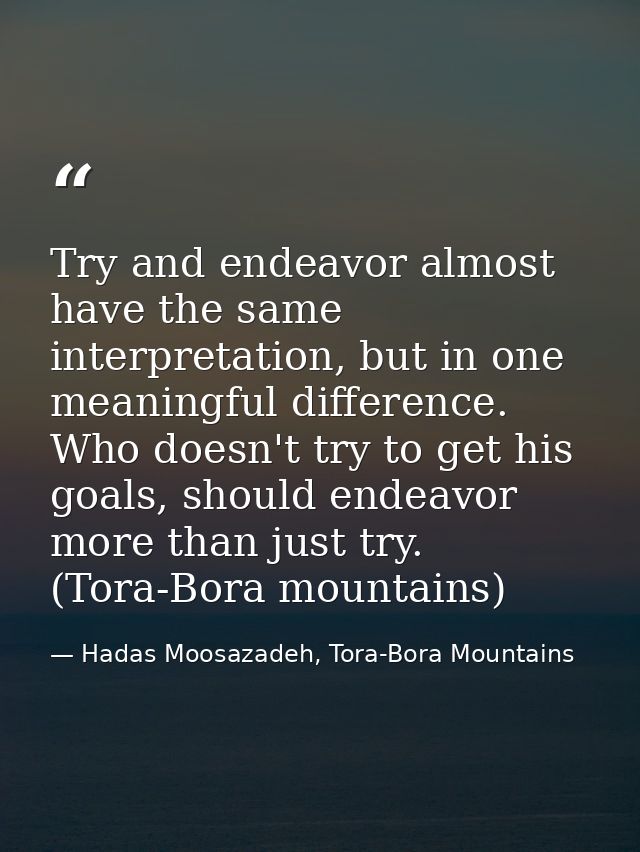 Try and endeavor almost have the same interpretation, but in one meaningful difference. Who doesn't try to get his goals — Hadas Moosazadeh, Tora-Bora Mountains