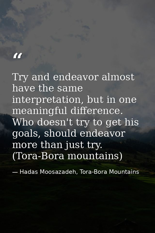 Try and endeavor almost have the same interpretation, but in one meaningful difference. Who doesn't try to get his goals — Hadas Moosazadeh, Tora-Bora Mountains