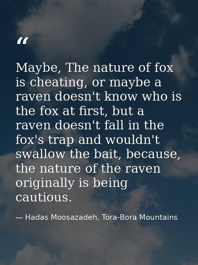 Maybe, The nature of fox is cheating, or maybe a raven doesn't know who is the fox at first, but a raven doesn't fall in — Hadas Moosazadeh, Tora-Bora Mountains