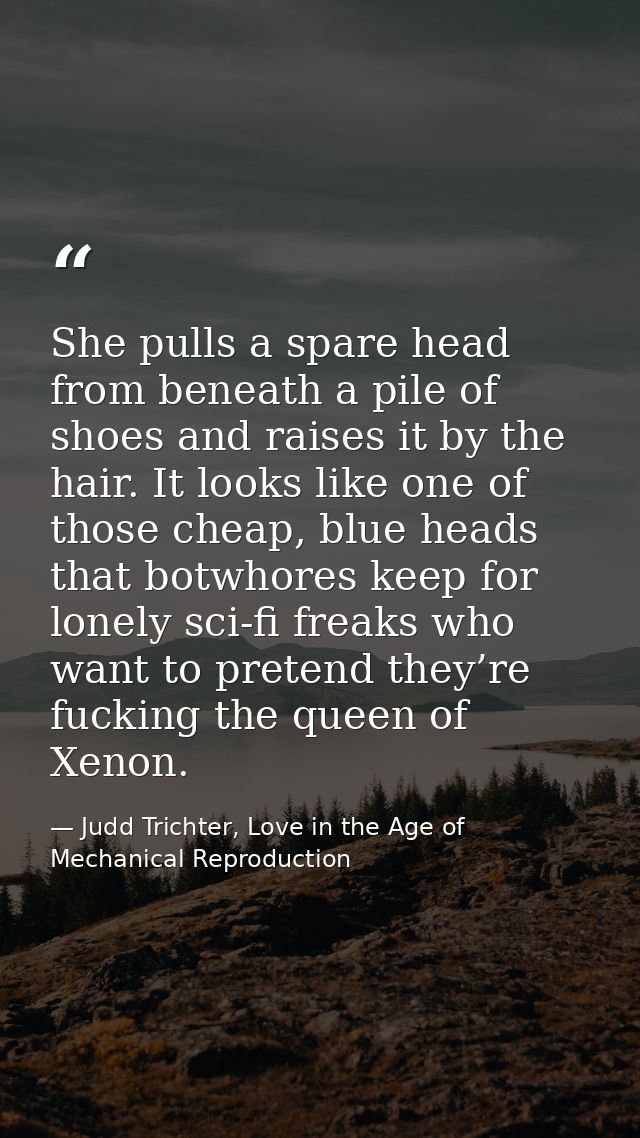She pulls a spare head from beneath a pile of shoes and raises it by the hair. It looks like one of those cheap, blue he — Judd Trichter, Love in the Age of Mechanical Reproduction