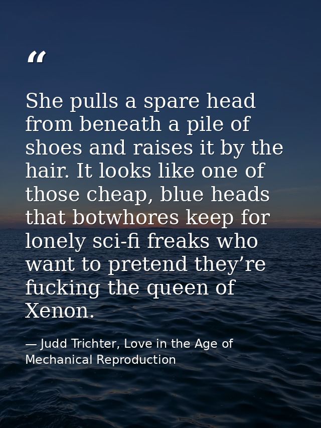 She pulls a spare head from beneath a pile of shoes and raises it by the hair. It looks like one of those cheap, blue he — Judd Trichter, Love in the Age of Mechanical Reproduction