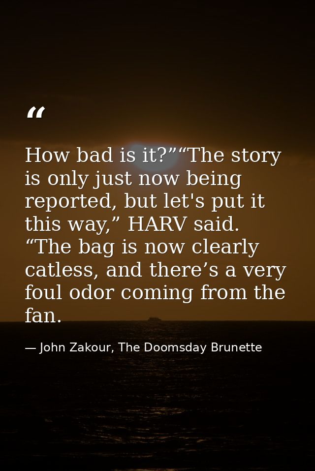 How bad is it?”“The story is only just now being reported, but let's put it this way,” HARV said. “The bag is now clearl — John Zakour, The Doomsday Brunette