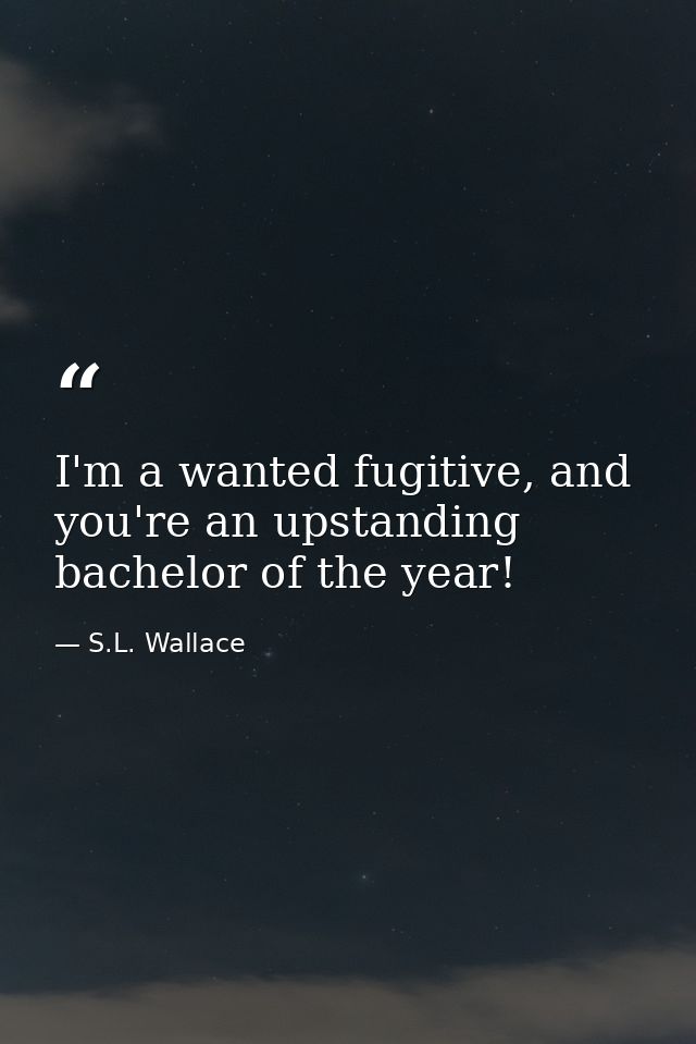 I'm a wanted fugitive, and you're an upstanding bachelor of the year! — S.L. Wallace