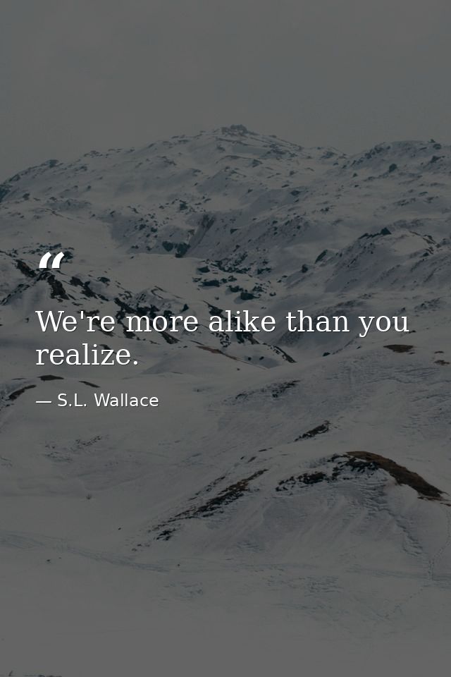 We're more alike than you realize. — S.L. Wallace