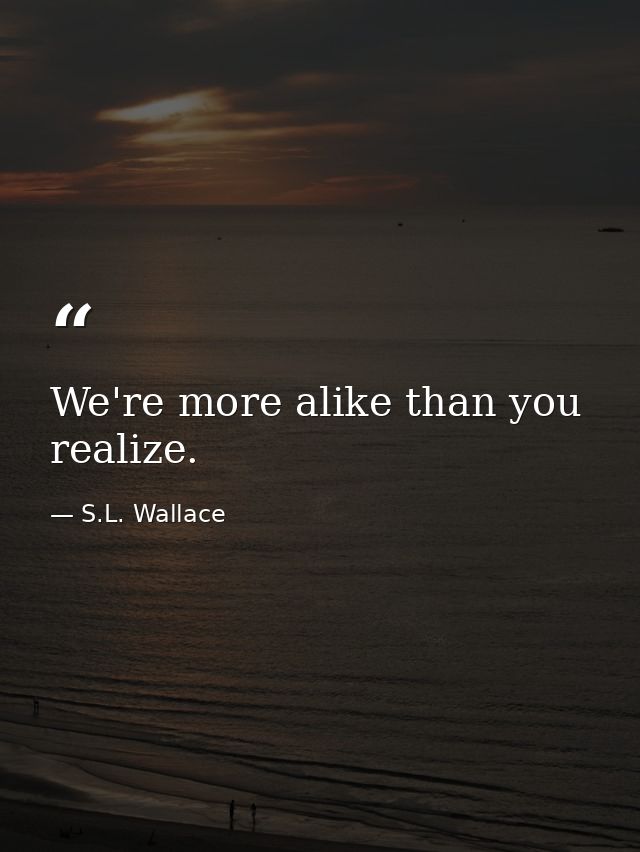 We're more alike than you realize. — S.L. Wallace